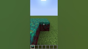 PLACING 100 WARPED NYLIUM🎧 Satisfying ASMR: Placing & Breaking Blocks in Minecraft