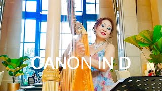 CANON IN D - 竖琴即兴发挥《卡农》Pachelbel’s Harp cover by TongJuan Wang