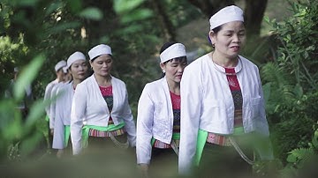 CỒNG CHIÊNG NGƯỜI MƯỜNG - HÒA BÌNH