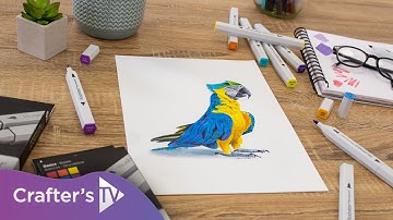 An introduction to the Spectrum Noir Illustrator Markers