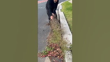 How longs this been here for? #shorts #blockeddrain #drain #plumber #plumbing #satisfying #clean