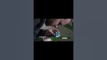 Carson MicroMini 20x LED Lighted Pocket Microscope with Built-In UV and LED Flashlight - Blue