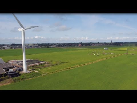 We are FrieslandCampina