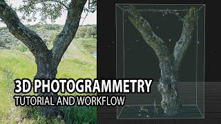 How to do 3D Photoscan | Photogrammetry the perfect pipeline!