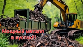 Мощные плюшки лежали в кустах.Металлокоп на каракате.