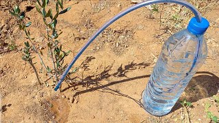 How to instal drip irrigation system