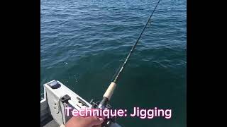 Elliott Bay Fishing Aug 20th 2025 #fishon #pnw  #tightlines