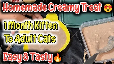 Watch the video about Best Homemade cat food treats easy recipe🔥homemade cat treat recipe🔥homemade cat food recipes🔥