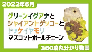 【2022年6月発売】グリーンイグアナとジャイアントゲッコーとトッケイヤモリ　マスコットボールチェーン＜発売店舗情報は概要欄をチェック＞