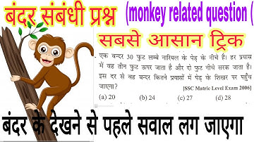 Monkey climbing slippery Pole Problem|| Arithmetical Reasoning