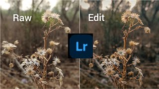 How to Edit Autumn Dry Plant Photo in Mobile Lightroom | Nature | Mobile Photography screenshot 5