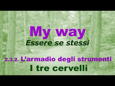 My way 15