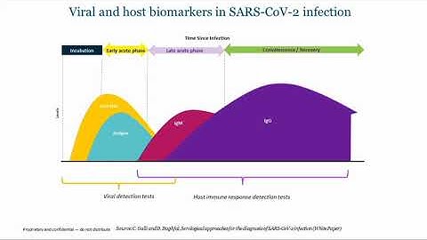 From Design to Implementation of SARS-CoV-2 Diagnostic Testing