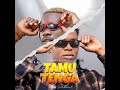 Kineo & Aidfest - TAMUTENGA ( Video Lyrics )