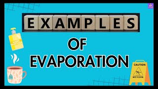 Common Examples Of Evaporation | Evaporation Around Us | Simple Examples Explained |