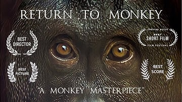 Return to Monkey