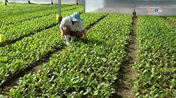 Huyện Đất Đỏ phấn đấu năm 2023 đạt huyện nông thôn mới nâng cao | BRTgo