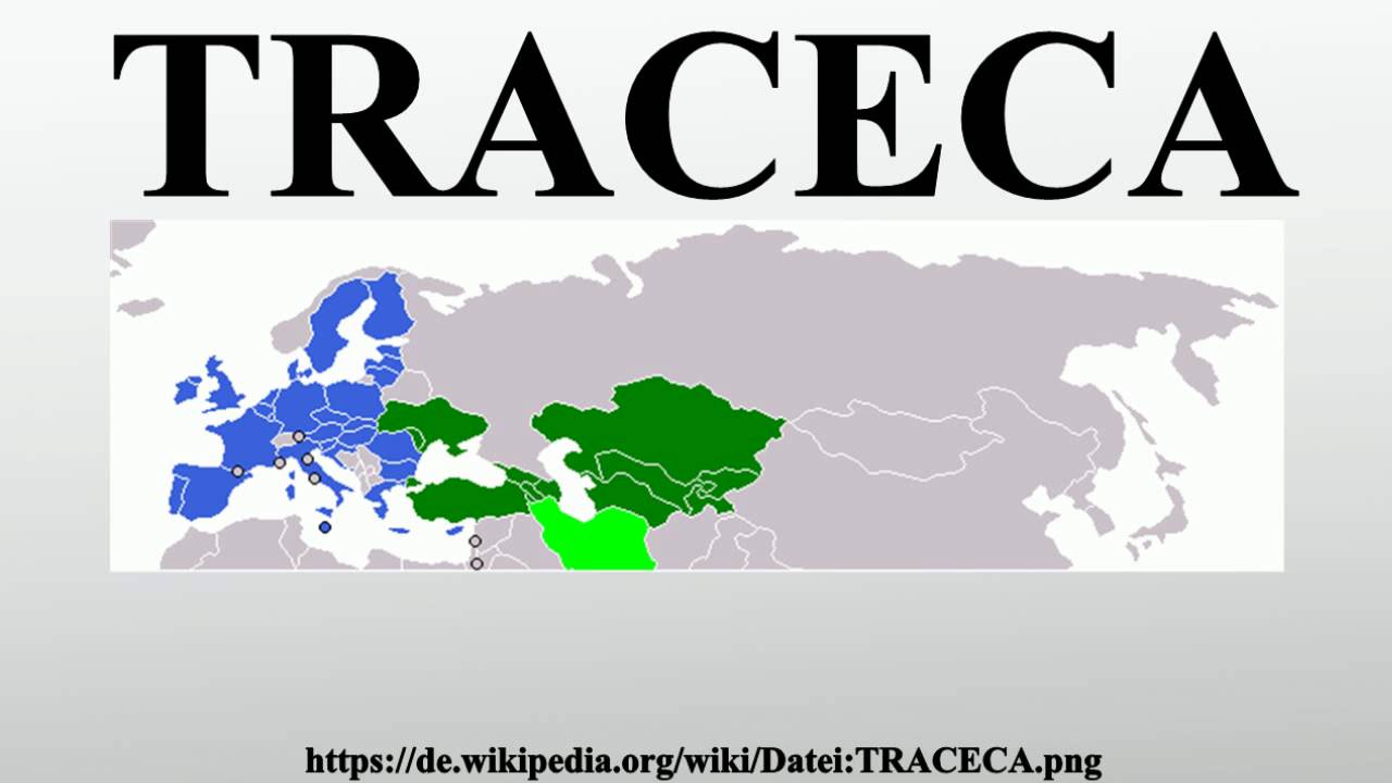 TRACECA YouTube