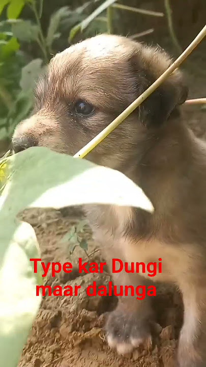 mera naam Jacky Shroff Ka Baap hai main Jisne Bhi Jyada bola usko Nahin khalas maine