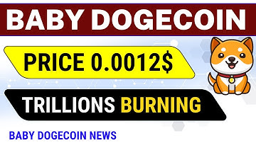 Baby Dogecoin Price 0.0012$ । Baby Dogecoin Trillions Burn । Baby Dogecoin News । #babydogecoin