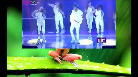 test MainConcept AVC AAC Internet 480p widescreen