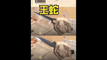 最近更新， CS2手套指南：驾驶手套王蛇，如何挑选？ #CS2手套 #CSGO  #cs2饰品 #CS2皮肤