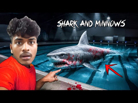 Shark In Swimming Pool 😨 Full Gameplay|On Vtg!
