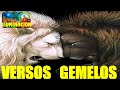 VERSOS GEMELOS Las Enseñanzas de BUDA