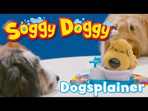 Soggy Doggy - Pups Explain How To Play Soggy Doggy