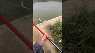 Сальто щуки #балық #fishing #кульсары #щука #spinfishing