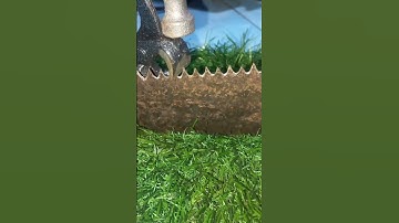 This One Tool Made My Dull Saw Razor Sharp – Unbelievable!"