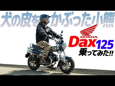 ホンダ Dax125 乗ってみた！【モトブログ】HONDA DAX 125  Motorcycle review in Japan