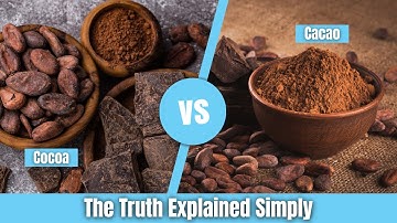 Cacao vs Cocoa: What’s the Real Difference?