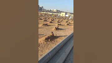 Mustafa Jaan E Rehmat Pe Lakhon Salam Darood O Salaam Ramzan Naat M Media Gold Naat Viral 