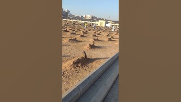 Mustafa Jaan e Rehmat Pe Lakhon Salam - Darood O Salaam - Ramzan Naat - M Media Gold  #naat #viral