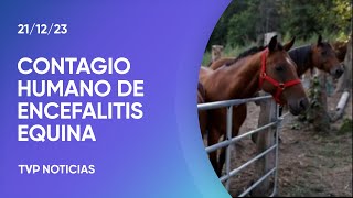 Confirmaron el primer contagio humano de encefalitis equina en más de 20 años