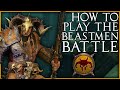 How to play the Beastmen Roster & Battle Strategy | Total War: Warhammer 2