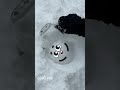 Goodland Snowball And Bowl Cartoon Doodles Animation 