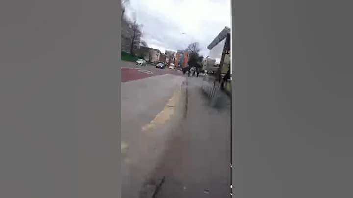 The walk from.college