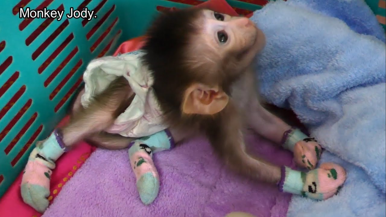 Good Morning Mom ... Little jody Get Up In The Morning in Basket So Refreshing.