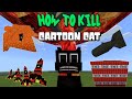 How to Kill Cartoon Cat (DO I FINALLY GET MY REVENGE?) (Minecraft PE)