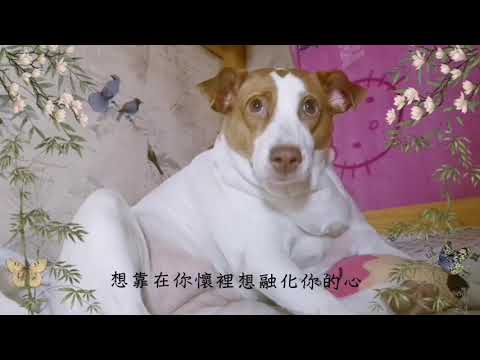 1234 喜歡你