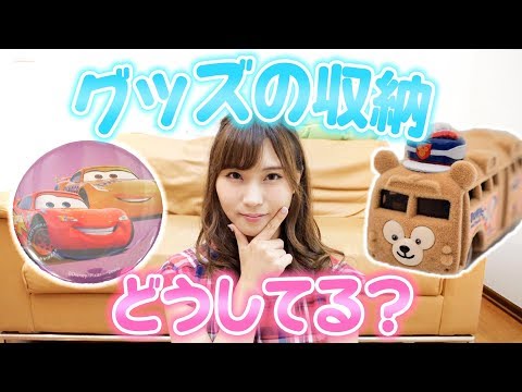 Seria 100均でディズニーグッズの収納ができる Youtube