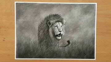 Lion in Tall Grass Charcoal Drawing - Wildlife Artwork