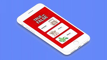 TRUE OR FALSE BUILDBOX PROJECT WITH ADMOB | Codecanyon Scripts and Snippets