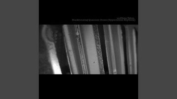 Hypocnemis Rhythms Part 17