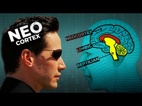 Trapped in the Reptilian Brain: The Real Matrix thumbnail