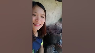 Hà thủ ô đỏ chưng đỗ đen xanh lòng là thần dược điều trị bạc tóc sớm.