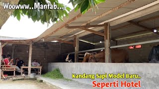 Review Kandang sapi Model Baru,Disainya Dinamis Dan Elegan Serasa Hotel Sapi