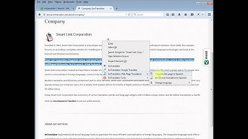 ImTranslator extension for Firefox
